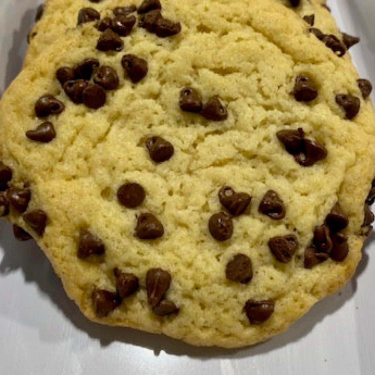 Chocolate Chip Sugar Cookies